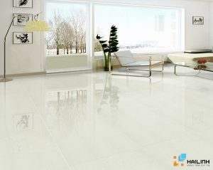Gạch bóng kiếng Taicera 60x60 P67312N