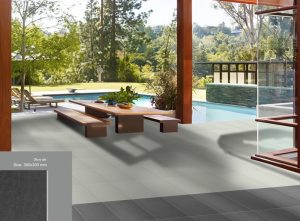 gạch Taicera 30-30