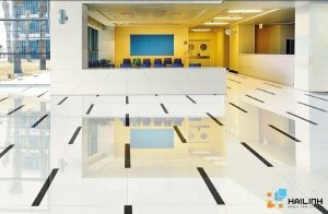 Mẫu gạch Taicera 60x60 P67615N